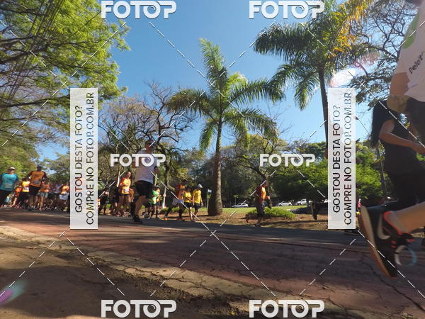 Buy your photos of the event35� Corrida INTEGRA��O EPTV 10K on Fotop