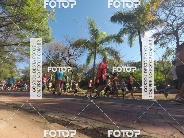 Buy your photos of the event35� Corrida INTEGRA��O EPTV 10K on Fotop