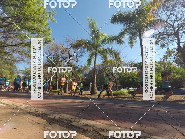Buy your photos of the event35� Corrida INTEGRA��O EPTV 10K on Fotop