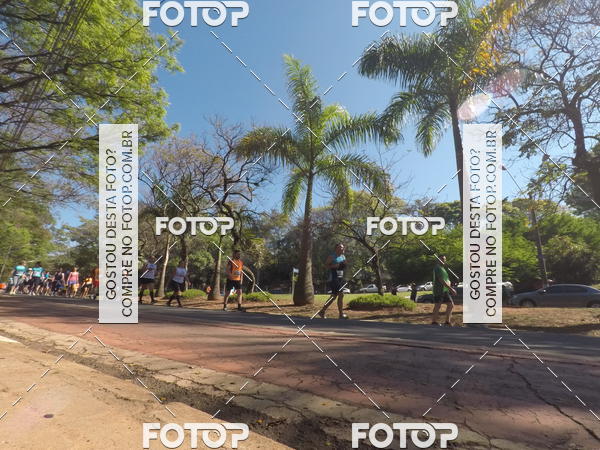 Buy your photos of the event35� Corrida INTEGRA��O EPTV 10K on Fotop