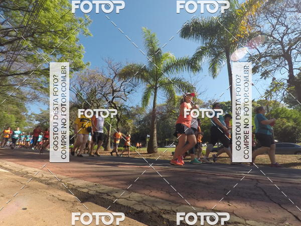 Buy your photos of the event35� Corrida INTEGRA��O EPTV 10K on Fotop