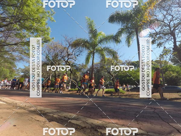 Buy your photos of the event35� Corrida INTEGRA��O EPTV 10K on Fotop
