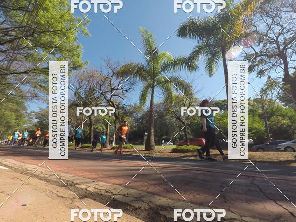 Buy your photos of the event35� Corrida INTEGRA��O EPTV 10K on Fotop