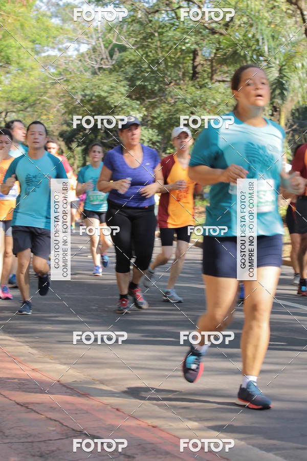 Buy your photos of the event35� Corrida INTEGRA��O EPTV 10K on Fotop