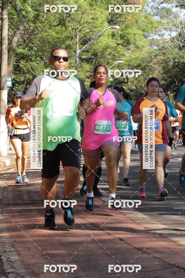 Buy your photos of the event35� Corrida INTEGRA��O EPTV 10K on Fotop