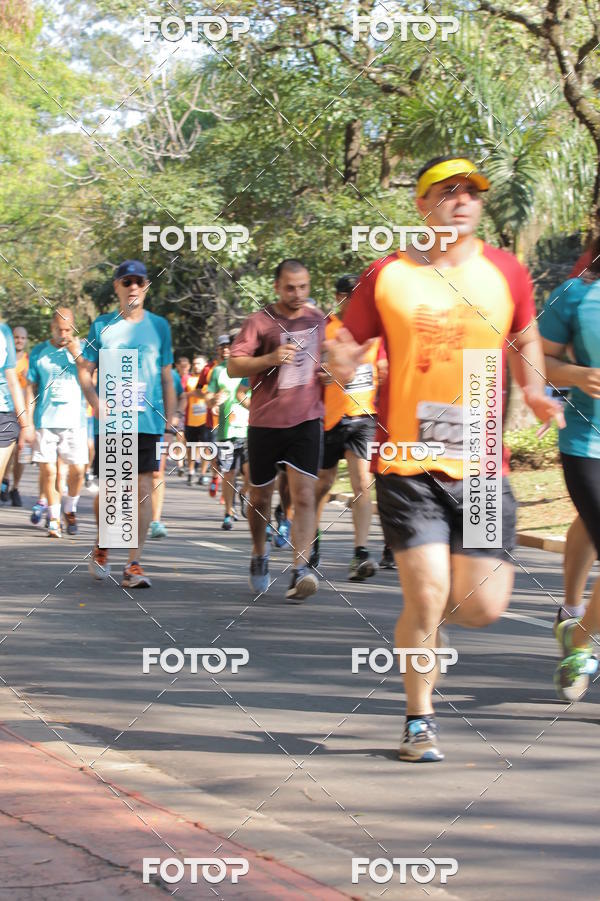Buy your photos of the event35� Corrida INTEGRA��O EPTV 10K on Fotop