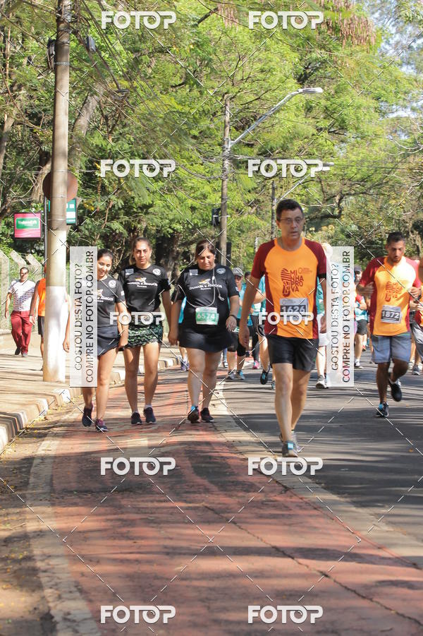 Buy your photos of the event35� Corrida INTEGRA��O EPTV 10K on Fotop