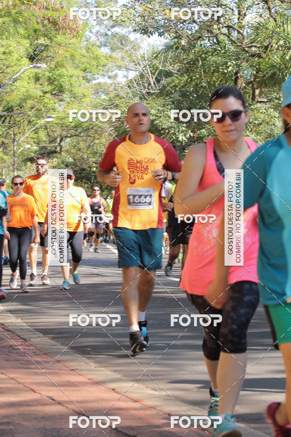 Buy your photos of the event35� Corrida INTEGRA��O EPTV 10K on Fotop