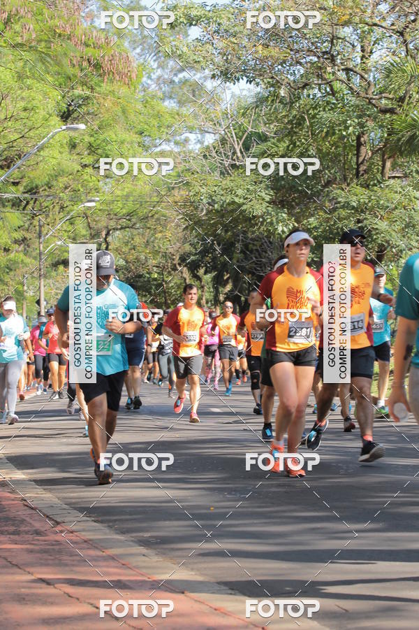 Buy your photos of the event35� Corrida INTEGRA��O EPTV 10K on Fotop