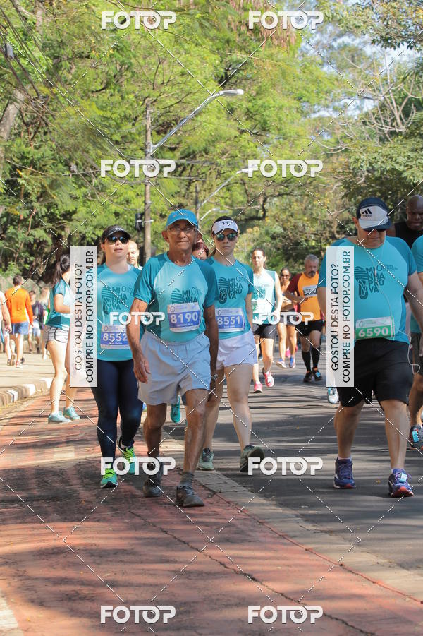 Buy your photos of the event35� Corrida INTEGRA��O EPTV 10K on Fotop