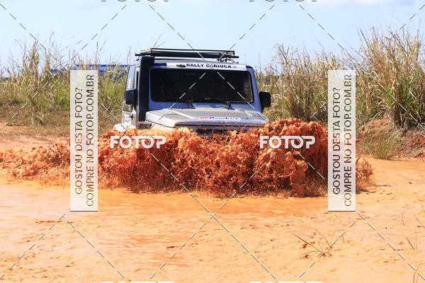 Buy your photos of the eventCampeonato Estadual de Rally de Regularidade - 3 Etapa on Fotop