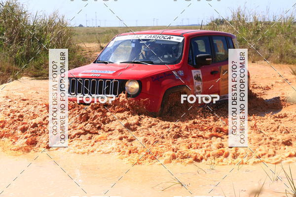 Buy your photos of the eventCampeonato Estadual de Rally de Regularidade - 3 Etapa on Fotop