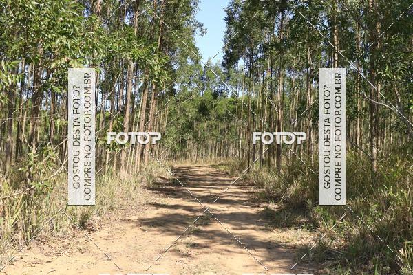 Buy your photos of the eventCampeonato Estadual de Rally de Regularidade - 3 Etapa on Fotop