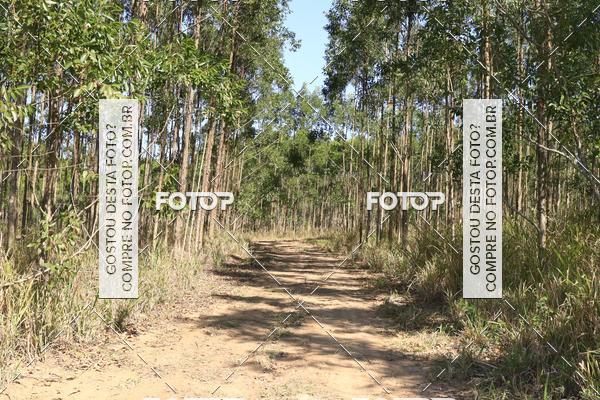 Buy your photos of the eventCampeonato Estadual de Rally de Regularidade - 3 Etapa on Fotop