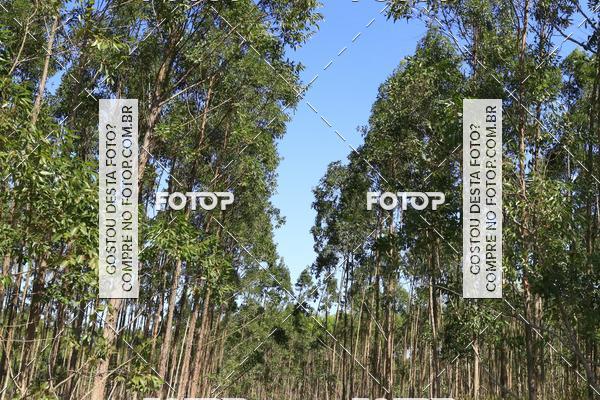 Buy your photos of the eventCampeonato Estadual de Rally de Regularidade - 3 Etapa on Fotop