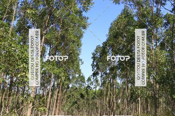 Buy your photos of the eventCampeonato Estadual de Rally de Regularidade - 3 Etapa on Fotop