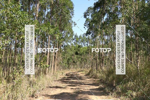 Buy your photos of the eventCampeonato Estadual de Rally de Regularidade - 3 Etapa on Fotop