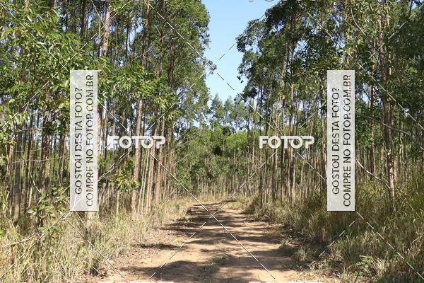 Buy your photos of the eventCampeonato Estadual de Rally de Regularidade - 3 Etapa on Fotop