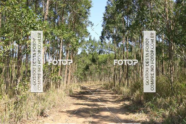 Buy your photos of the eventCampeonato Estadual de Rally de Regularidade - 3 Etapa on Fotop