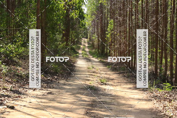 Buy your photos of the eventCampeonato Estadual de Rally de Regularidade - 3 Etapa on Fotop