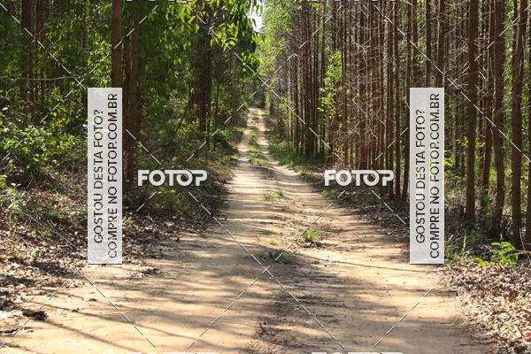 Buy your photos of the eventCampeonato Estadual de Rally de Regularidade - 3 Etapa on Fotop