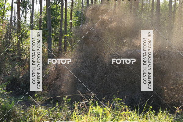 Buy your photos of the eventCampeonato Estadual de Rally de Regularidade - 3 Etapa on Fotop