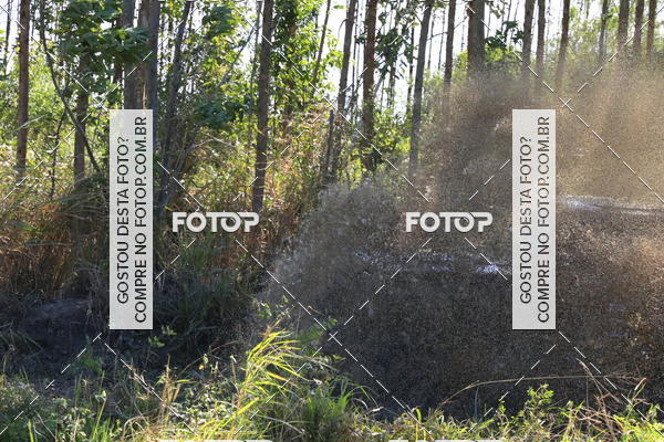 Buy your photos of the eventCampeonato Estadual de Rally de Regularidade - 3 Etapa on Fotop