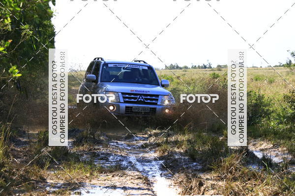 Buy your photos of the eventCampeonato Estadual de Rally de Regularidade - 3 Etapa on Fotop