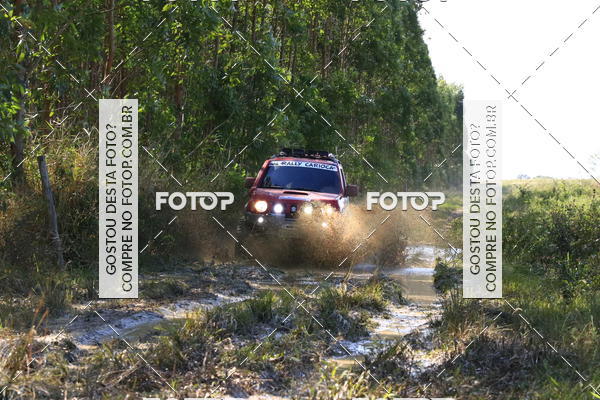 Buy your photos of the eventCampeonato Estadual de Rally de Regularidade - 3 Etapa on Fotop