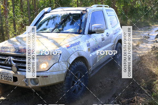 Buy your photos of the eventCampeonato Estadual de Rally de Regularidade - 3 Etapa on Fotop