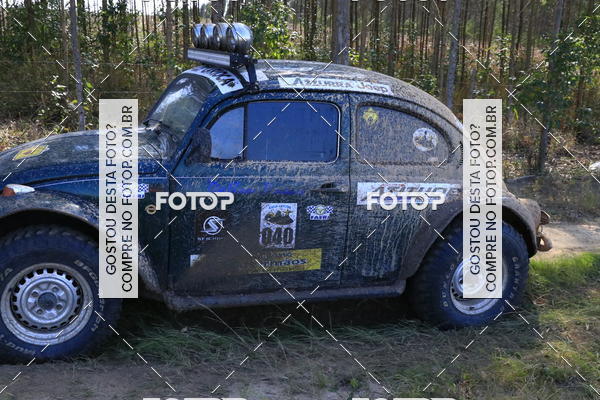Buy your photos of the eventCampeonato Estadual de Rally de Regularidade - 3 Etapa on Fotop