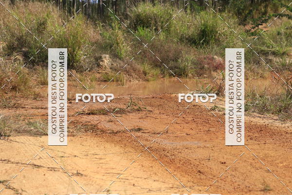 Buy your photos of the eventCampeonato Estadual de Rally de Regularidade - 3 Etapa on Fotop