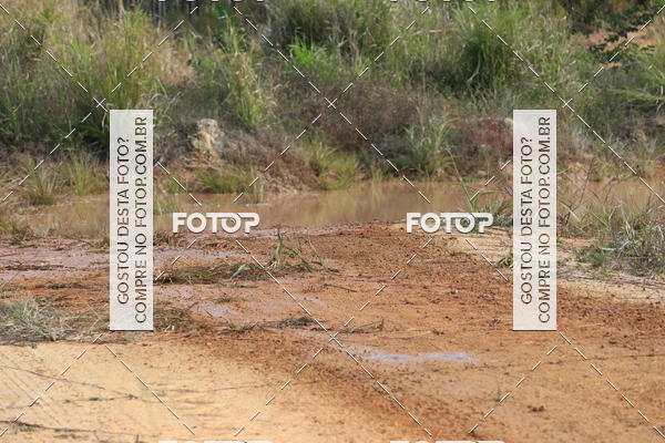 Buy your photos of the eventCampeonato Estadual de Rally de Regularidade - 3 Etapa on Fotop