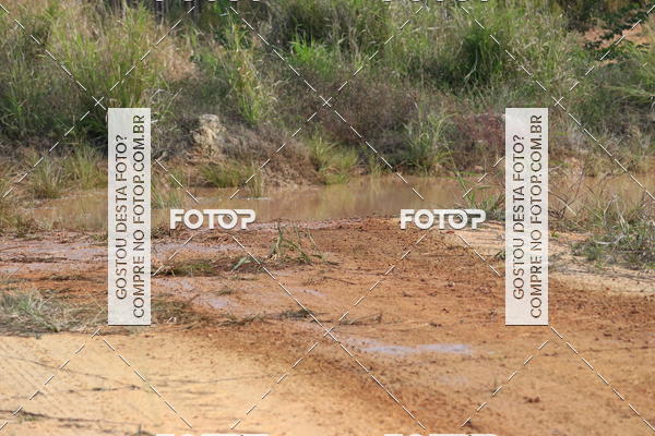 Buy your photos of the eventCampeonato Estadual de Rally de Regularidade - 3 Etapa on Fotop