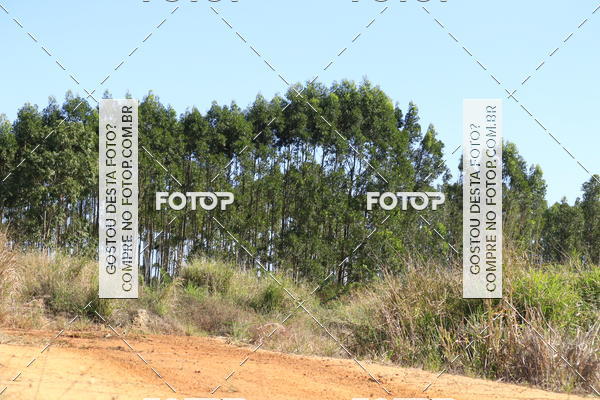 Buy your photos of the eventCampeonato Estadual de Rally de Regularidade - 3 Etapa on Fotop