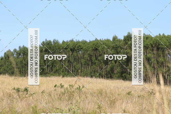 Buy your photos of the eventCampeonato Estadual de Rally de Regularidade - 3 Etapa on Fotop