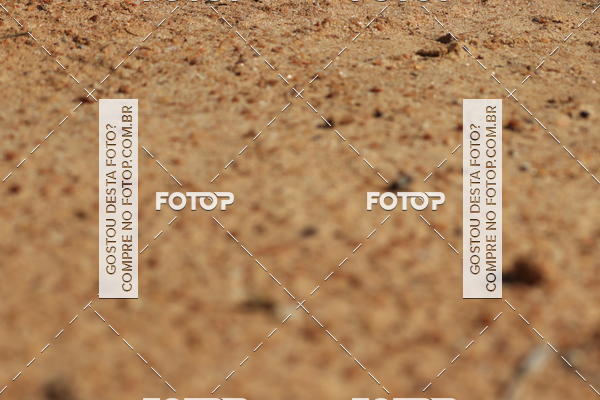 Buy your photos of the eventCampeonato Estadual de Rally de Regularidade - 3 Etapa on Fotop