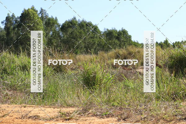 Buy your photos of the eventCampeonato Estadual de Rally de Regularidade - 3 Etapa on Fotop