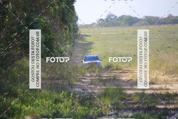 Buy your photos of the eventCampeonato Estadual de Rally de Regularidade - 3� Etapa on Fotop