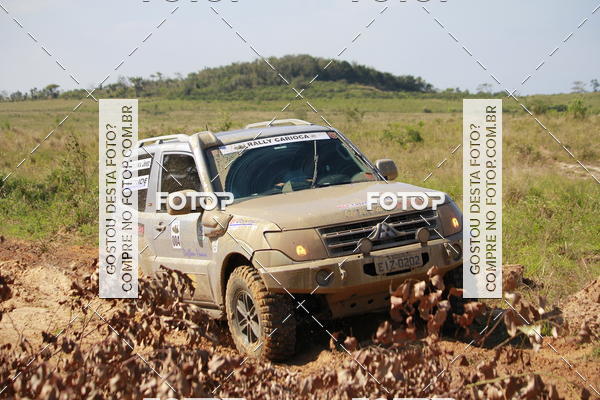 Buy your photos of the eventCampeonato Estadual de Rally de Regularidade - 3� Etapa on Fotop