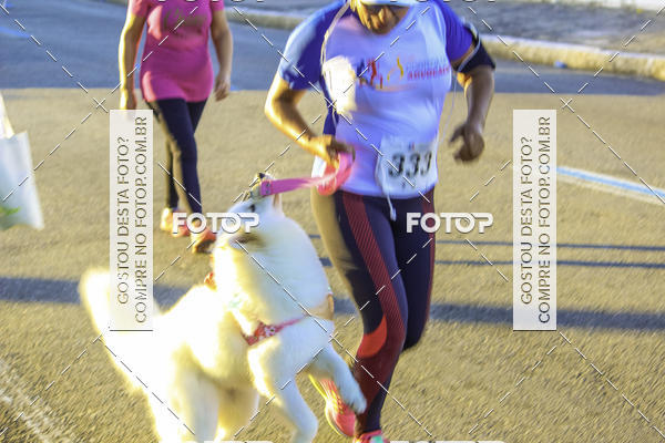 Buy your photos of the event8 Corrida da Advocacia on Fotop