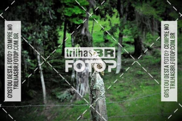 Buy your photos of the event2 DESAFIO DE MOUNTAIN BIKE VALE DE AVENTURAS on Fotop