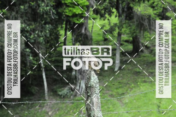 Buy your photos of the event2 DESAFIO DE MOUNTAIN BIKE VALE DE AVENTURAS on Fotop