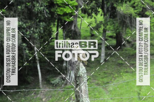 Buy your photos of the event2 DESAFIO DE MOUNTAIN BIKE VALE DE AVENTURAS on Fotop