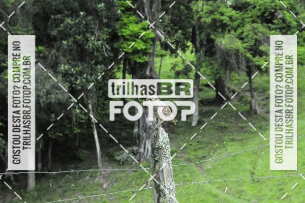 Buy your photos of the event2 DESAFIO DE MOUNTAIN BIKE VALE DE AVENTURAS on Fotop