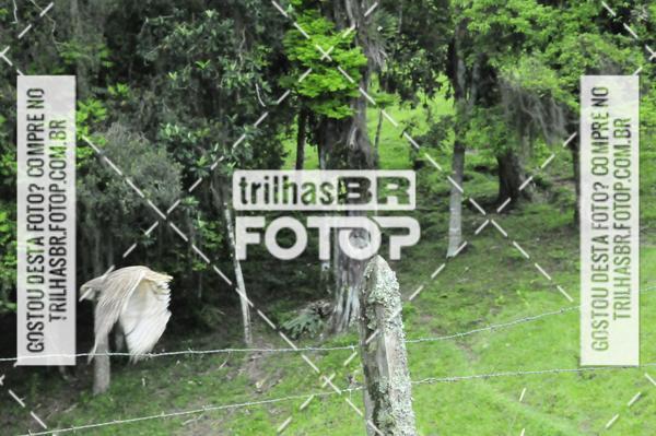 Buy your photos of the event2 DESAFIO DE MOUNTAIN BIKE VALE DE AVENTURAS on Fotop