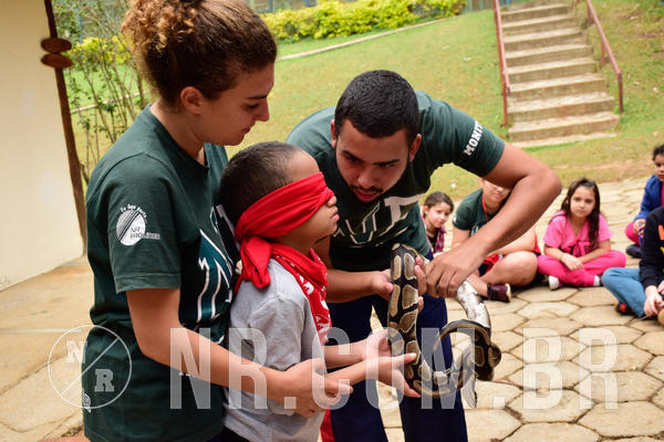 Buy your photos of the eventNR1 - Cl�ssico de 15 a 17/08/18 on Fotop