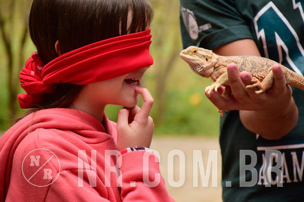 Buy your photos of the eventNR1 - Cl�ssico de 15 a 17/08/18 on Fotop