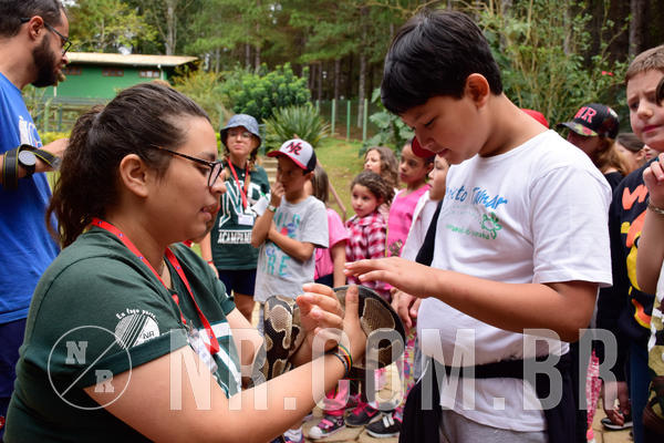 Buy your photos of the eventNR1 - Cl�ssico de 15 a 17/08/18 on Fotop