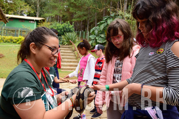 Buy your photos of the eventNR1 - Cl�ssico de 15 a 17/08/18 on Fotop